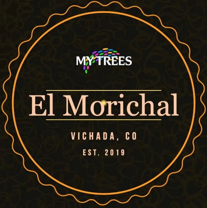 My Trees - Farma El Morichal, Vichada, Kolumbie. Logo československé farmy v Latinské Americe.